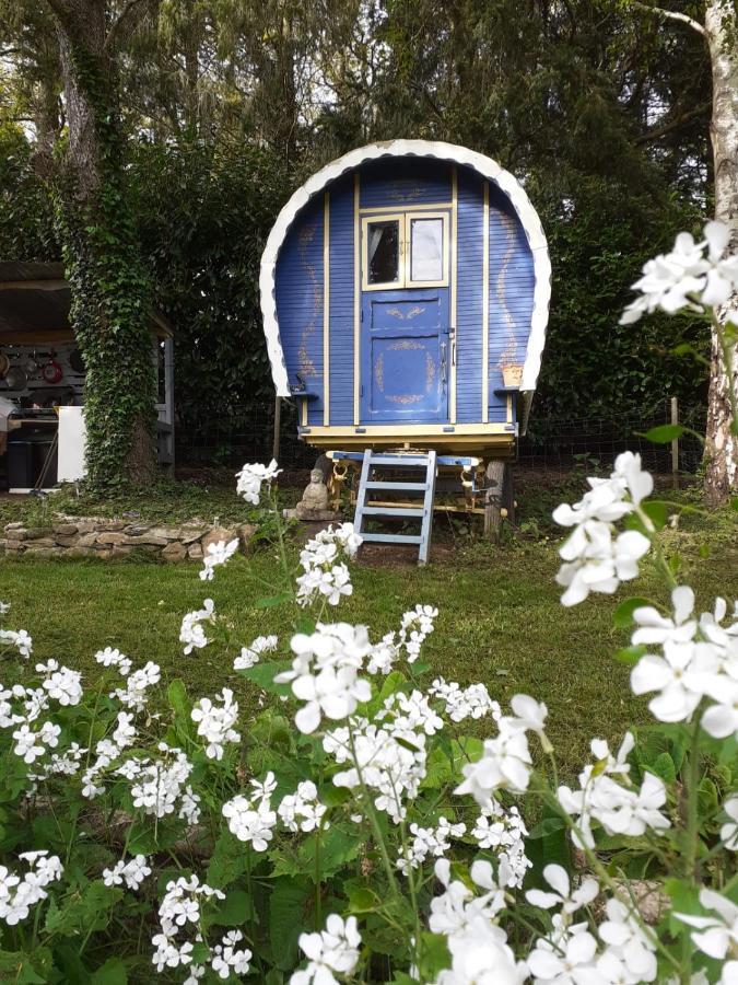 Retraite Rustique En Bordure De Foret A La Campagne Hotel Belle-Isle-en-Terre Exterior photo