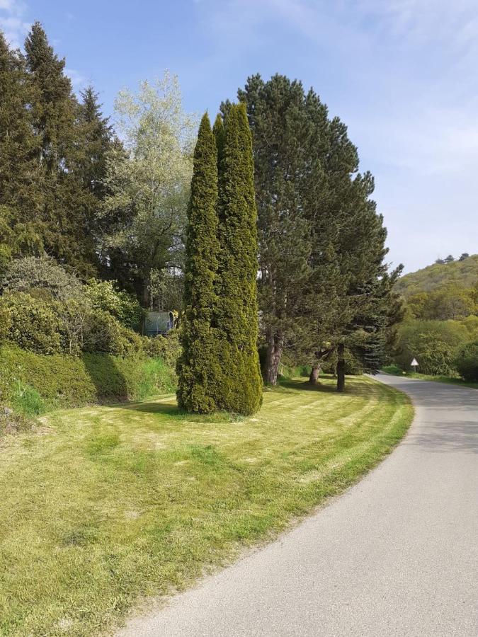 Retraite Rustique En Bordure De Foret A La Campagne Hotel Belle-Isle-en-Terre Exterior photo